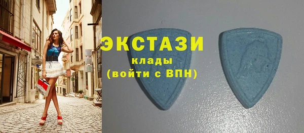 мдпв Рославль
