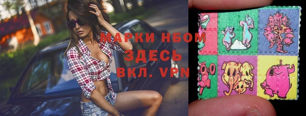 мдпв Рославль