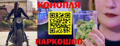 гидропоника Донской