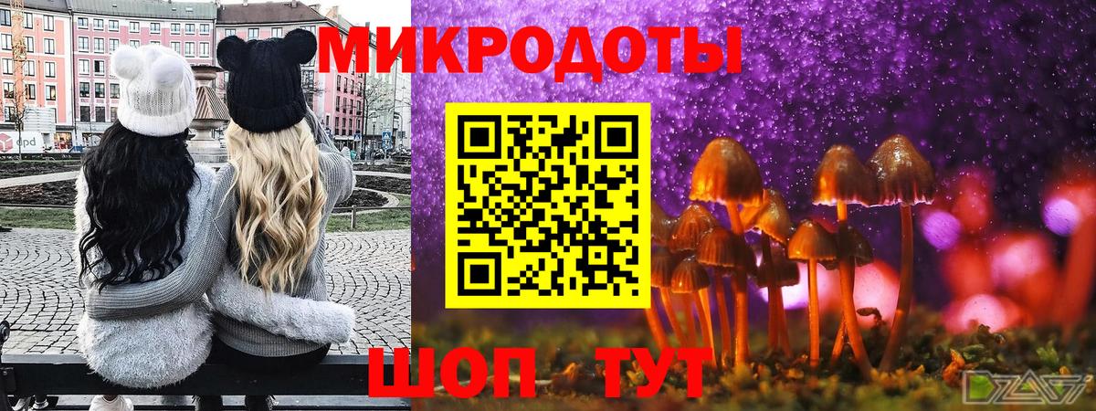 Галлюциногенные грибы прущие грибы Мурино